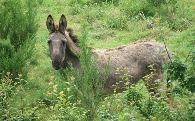 Week-end club 2012, dimanche